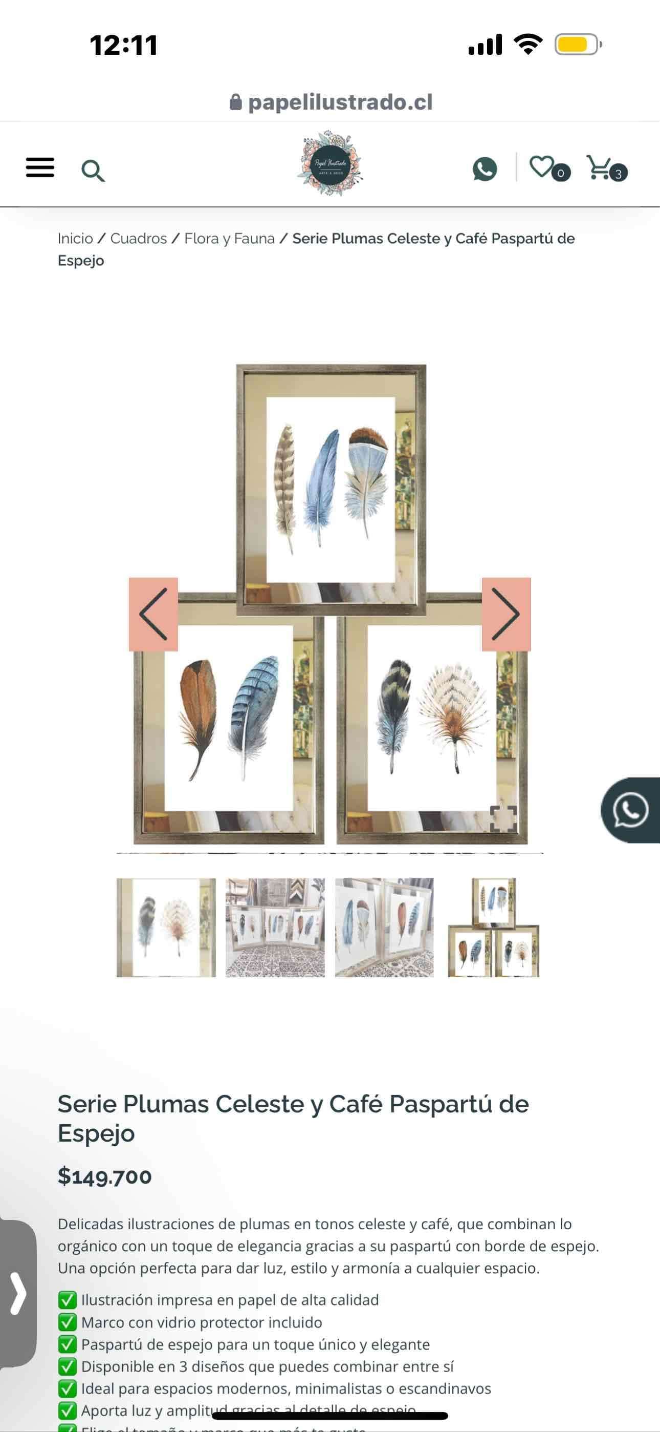 3 Cuadro Plumas Celeste y Café